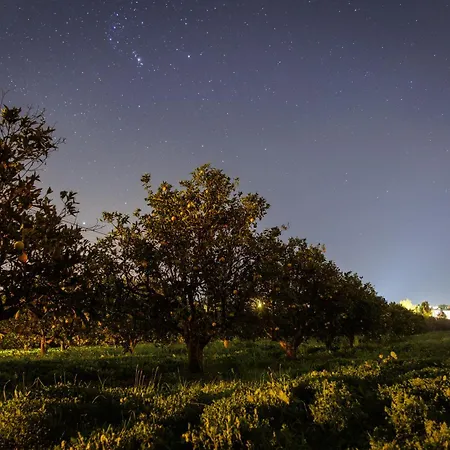 Laranjal * Монкарапашу