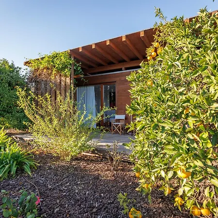 Апартаменты Laranjal *