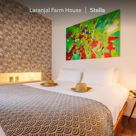 Laranjal Appartement Moncarapacho