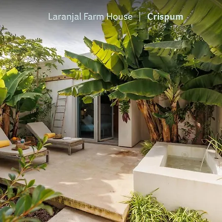 Appartement Laranjal Moncarapacho